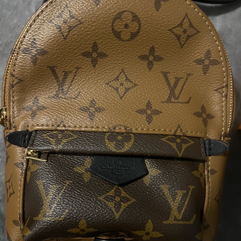 Louis Vuitton Reverse Palm Springs Mini